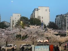 -锦月楼百姓厨房(大箕山商业广场店)