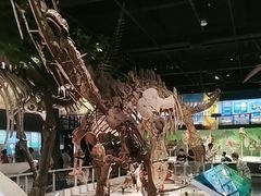 -国家自然博物馆