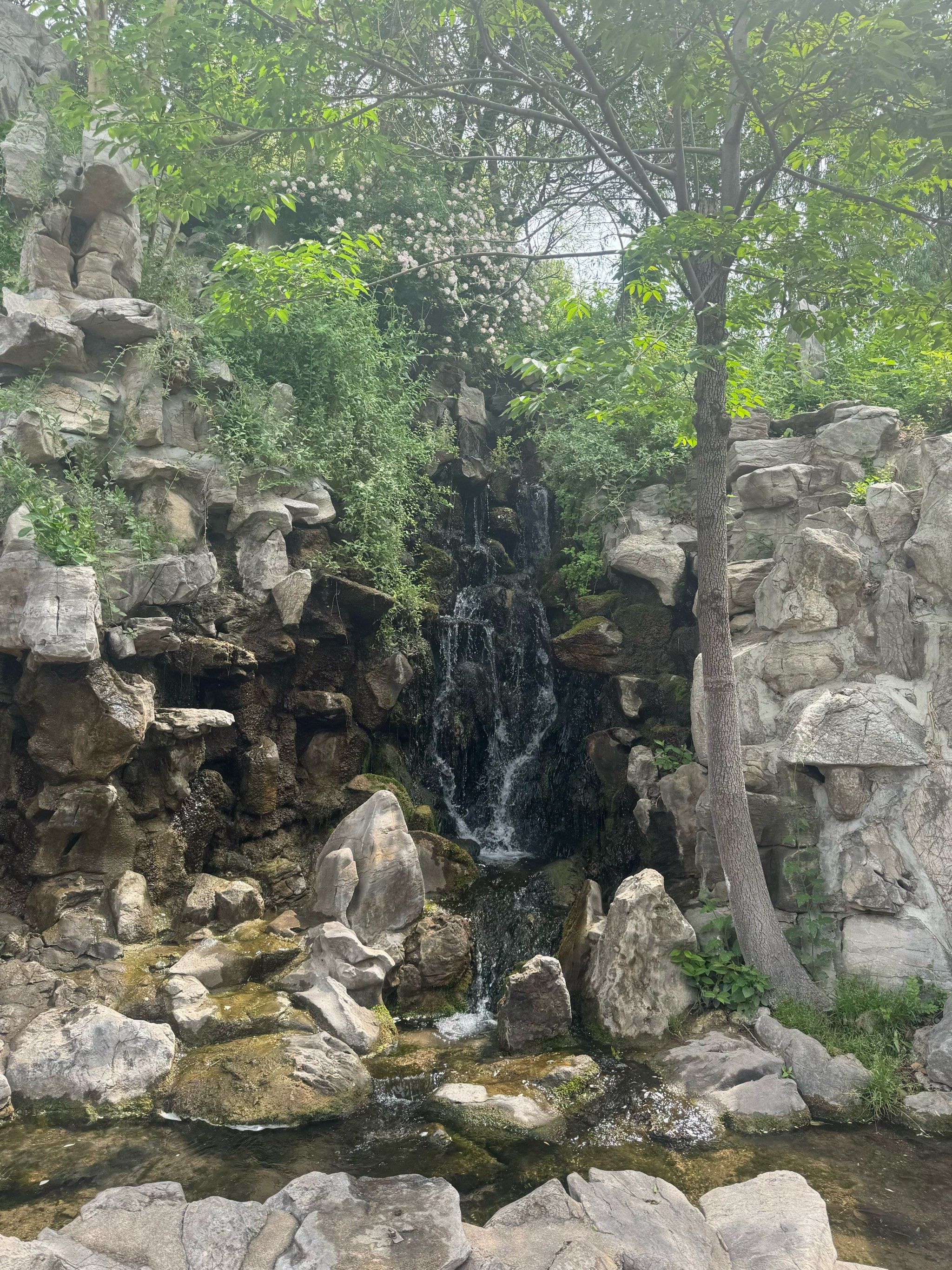 珍珠泉位于济南市市中心,泉城路北侧,公园