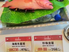 -南海渔村·空中一号