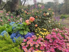 -人民公园(罗湖区)