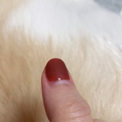 -MONICA BOX美甲美睫