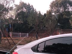 -潜山国家森林公园