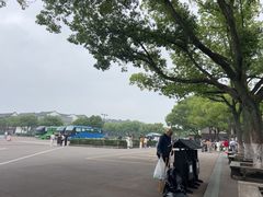 -乌镇东栅景区