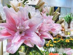 -双季花艺园艺市场(浦东店)