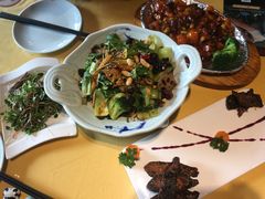 -素虎小呆鸟(西二旗店)