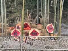 -林坑古村落