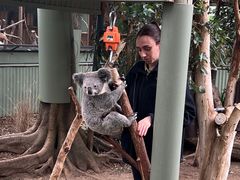 -费瑟代尔野生动物园