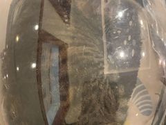 -瑞鹏宠物医院·骨外科·心肾科·肿瘤科(九亭店)