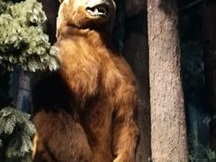 -陕西自然博物馆