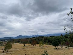 -塔川景区