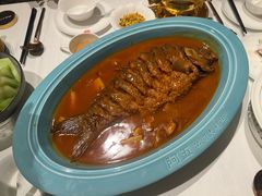 -阿五黄河大鲤鱼(海尚店)