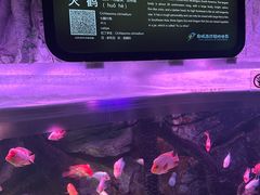 -泉城欧乐堡海洋极地世界