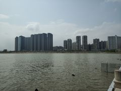 -观澳平台