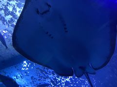 -多彩贵州城极地海洋世界