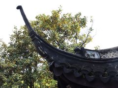 -上海醉白池公园