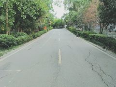 -三圣花乡旅游区