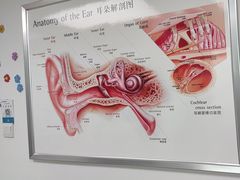 -自然之声助听器·呼吸机(翠微大厦店)