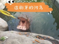 -灵玲国际马戏城