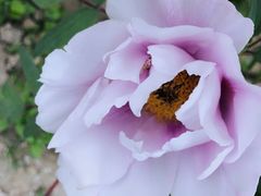 -终南山国家森林公园