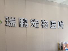 -瑞鹏宠物医院·骨科·猫科·内科(第一中心)