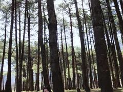 景点-石棉县孟获城