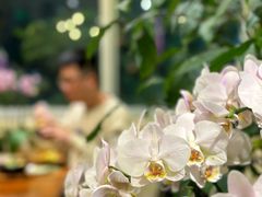 -花二家·生活馆(六运小区店)