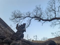 -店头古堡