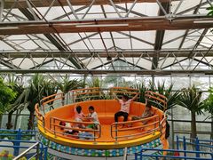 -南宫五洲植物乐园