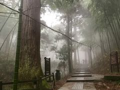 -东天目山风景区