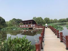 -长兴太湖图影湿地文化园