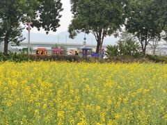 -光明小镇欢乐田园