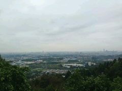-火炉山森林公园