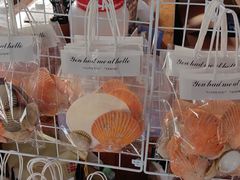 -蓝湾碧波·老字号·疍家非遗海上餐厅