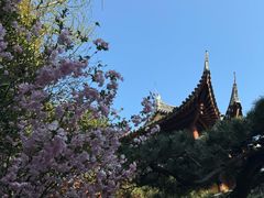 -龙华寺