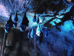 -新加坡水上探险乐园