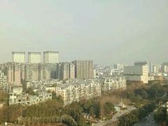 -神仙树公园