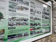 -东北师范大学附属中学(自由校区)