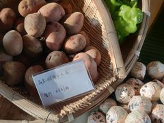 -泓0871臻选云南菜·味庄