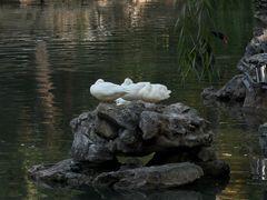 -西苑公园