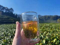 -香芙茗茶楼(梅家坞店)