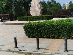 -绿堤公园