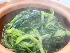 虾酱通菜-凤城康记饭店