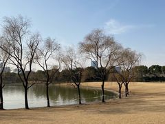 -黄兴公园