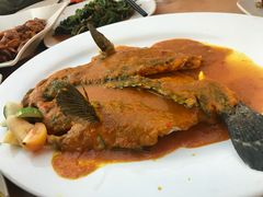 -大树下海鲜饭店