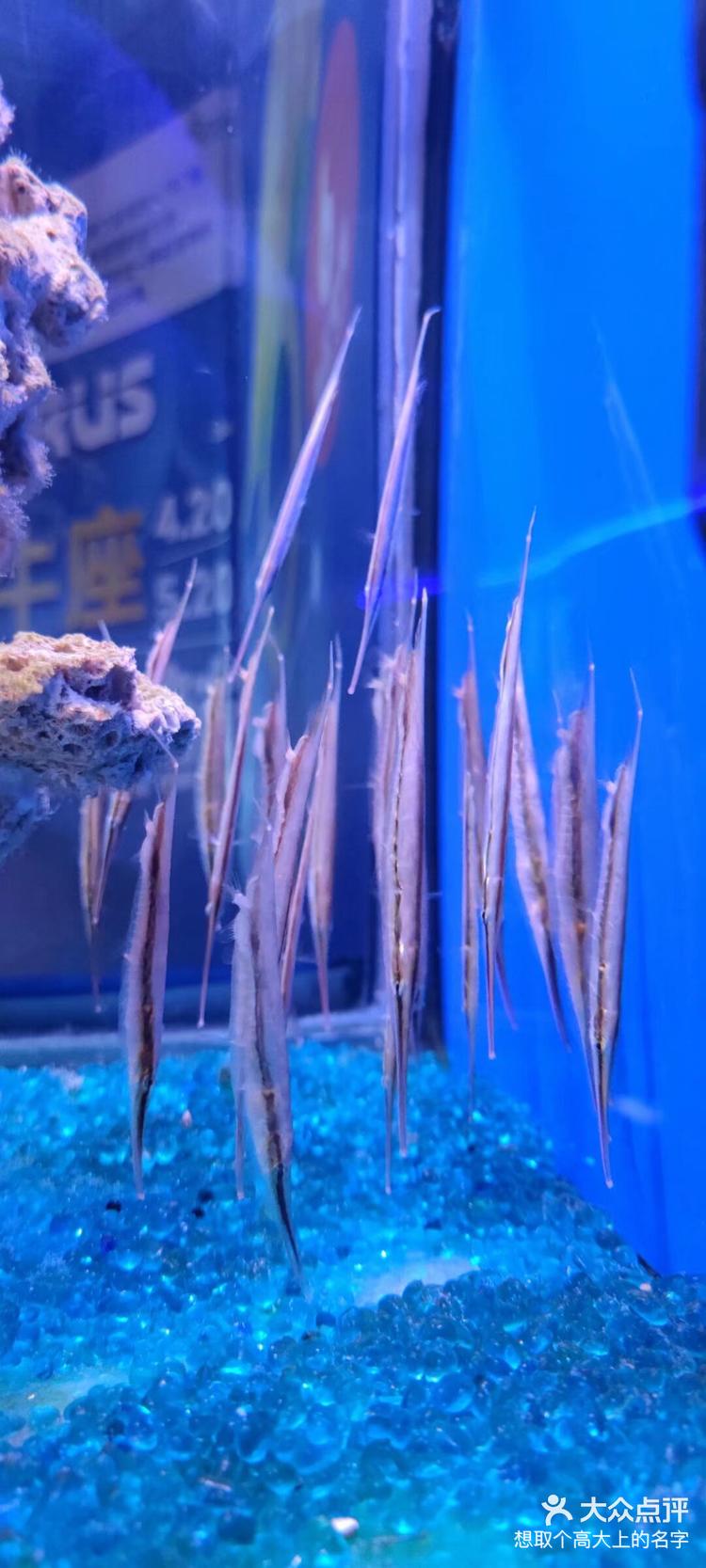 重庆巴南区汉海海洋馆