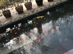-大华锦绣假日酒店·锦味餐厅
