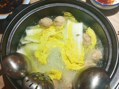 -探窝·竹笙椰子鸡(杨箕店)