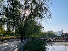 -莲花池公园