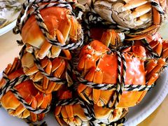 -乡乐园蟹庄·阳澄湖农家乐